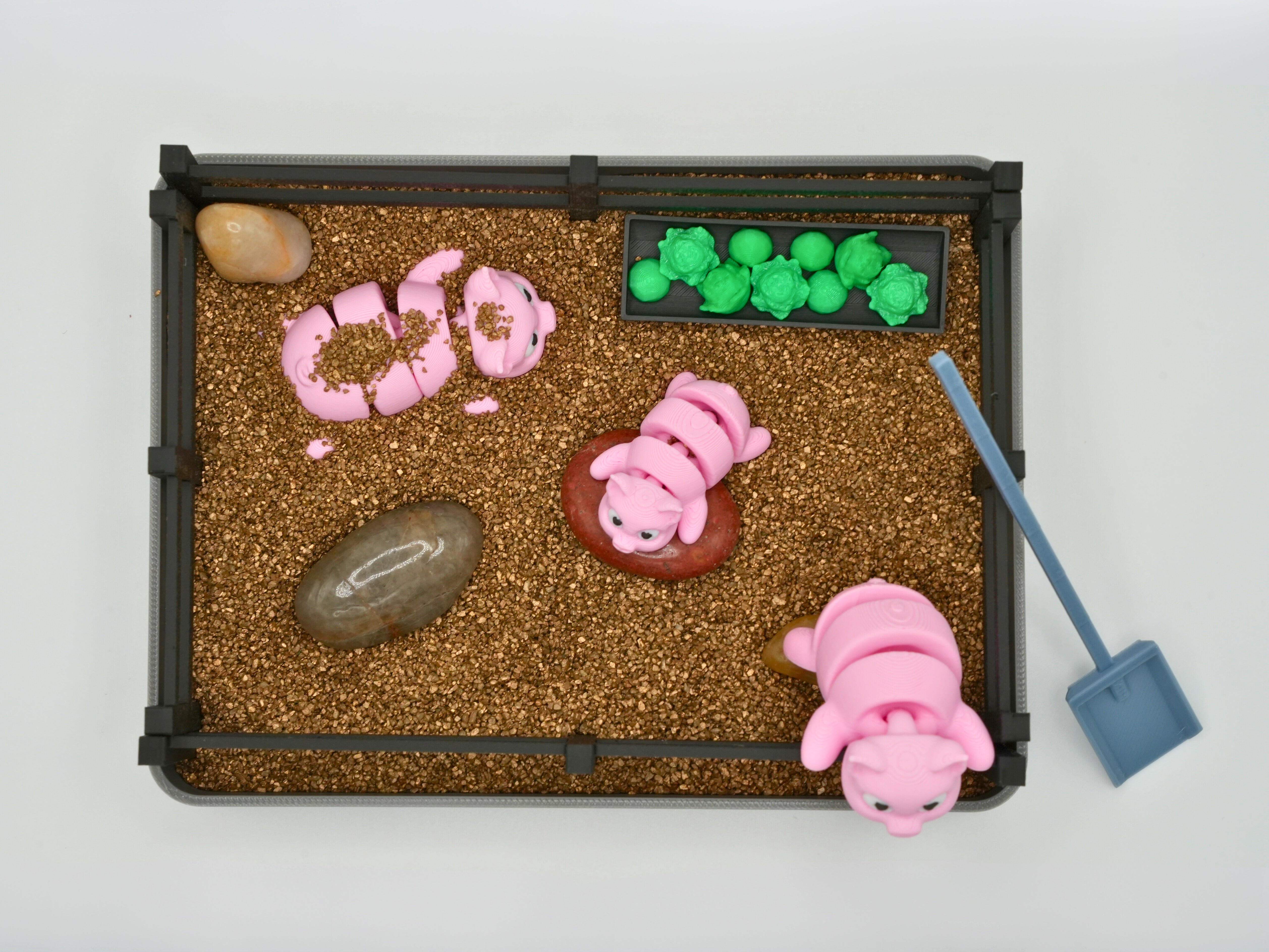 Pig Zen Garden
