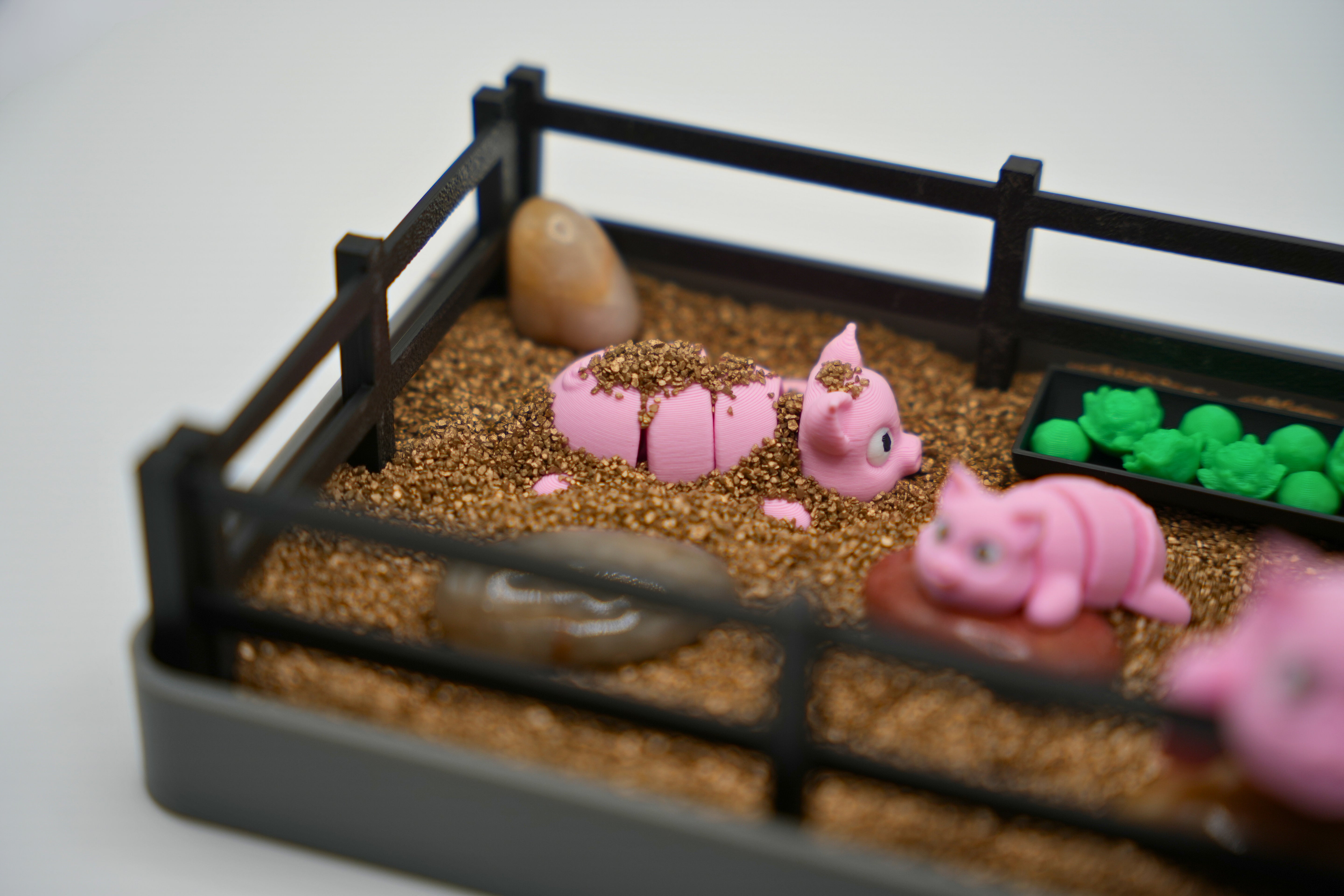 Pig Zen Garden