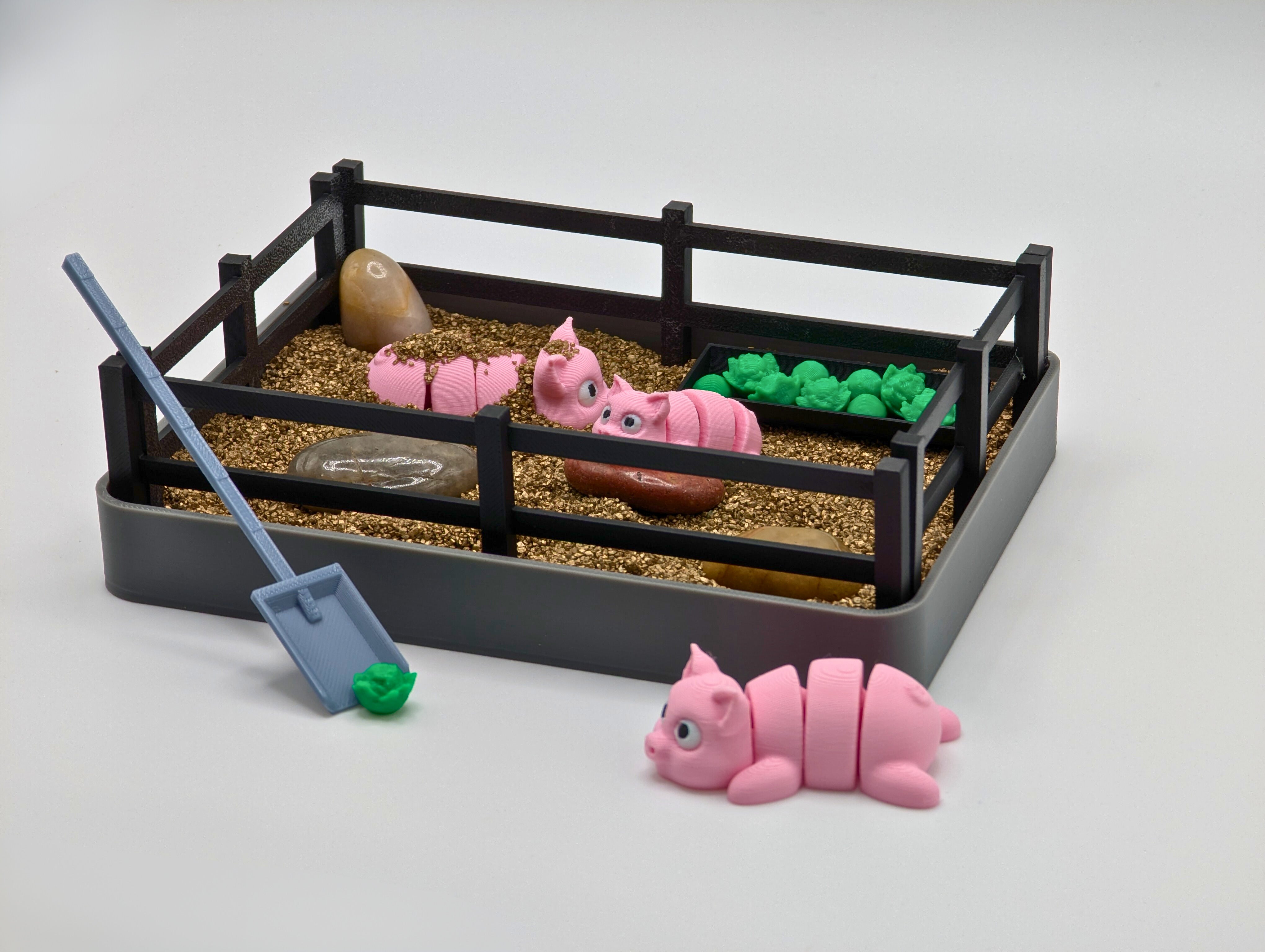 Pig Zen Garden