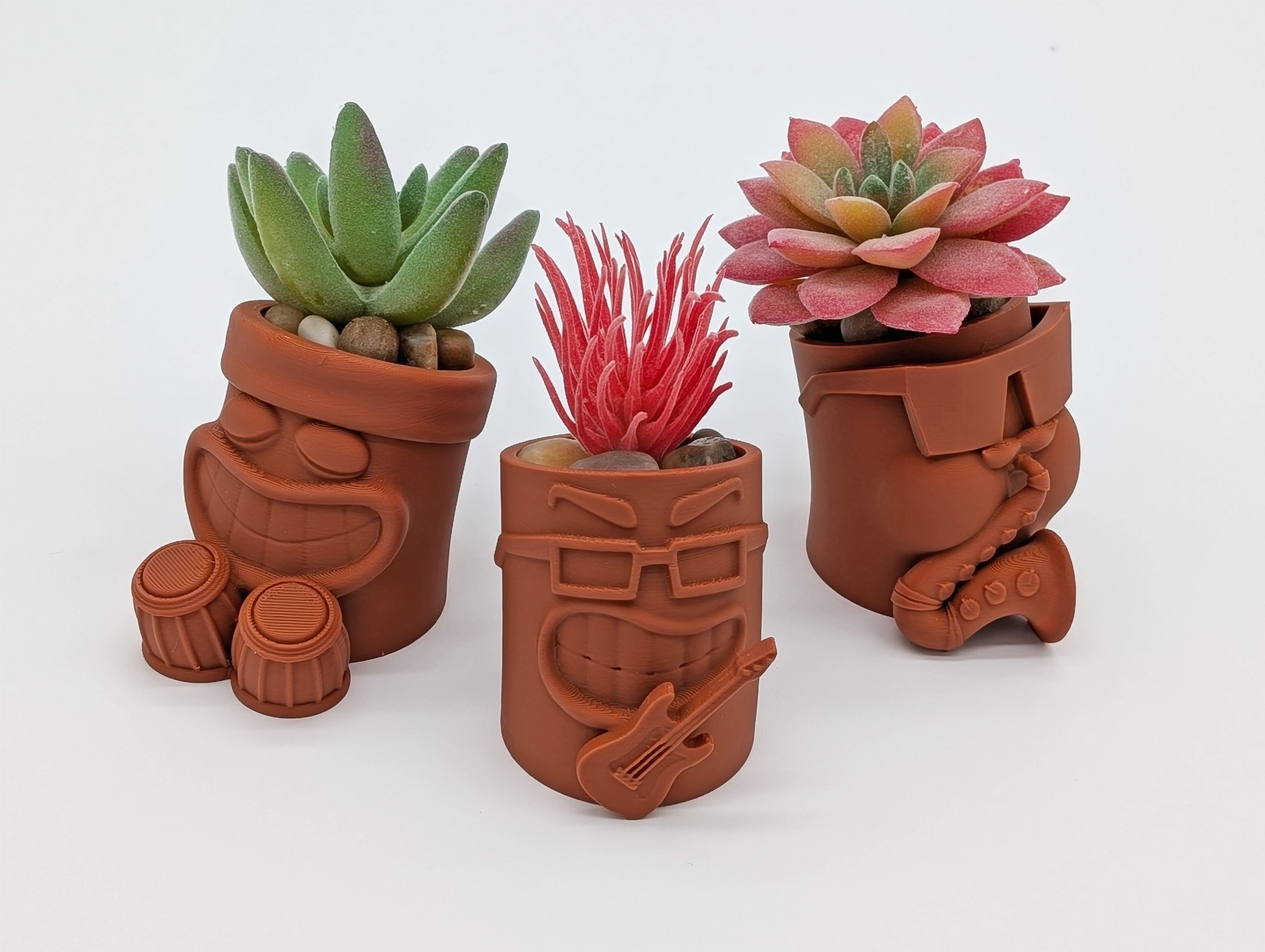 clever succulent planters Funny Succulent Pots