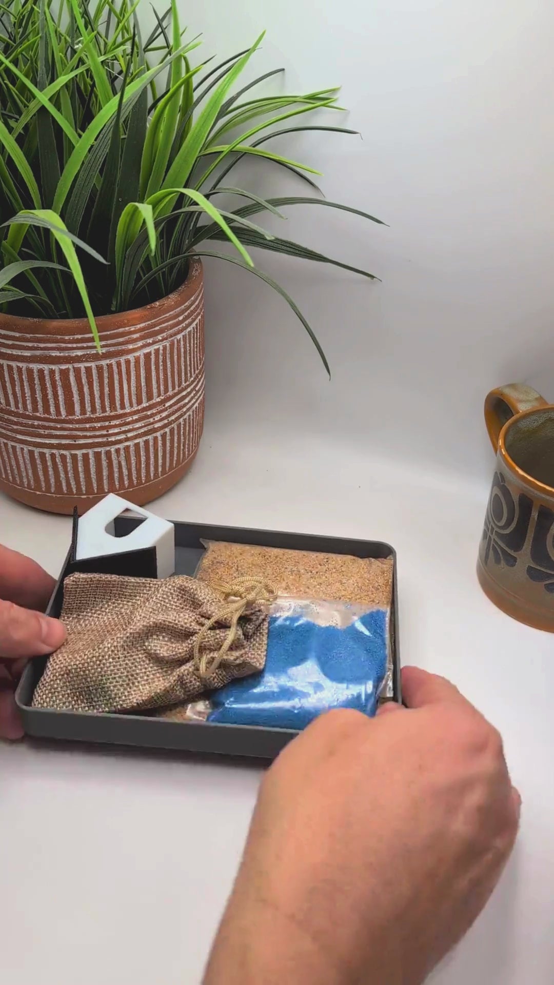 Duck Zen Garden