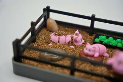 Pig Zen Garden
