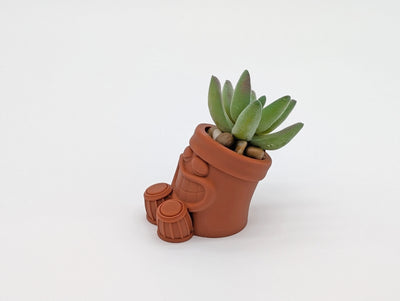 Funny Succulent Pots