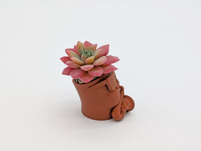 Funny Succulent Pots