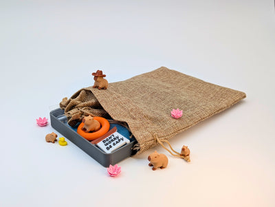 Capybara Zen Garden