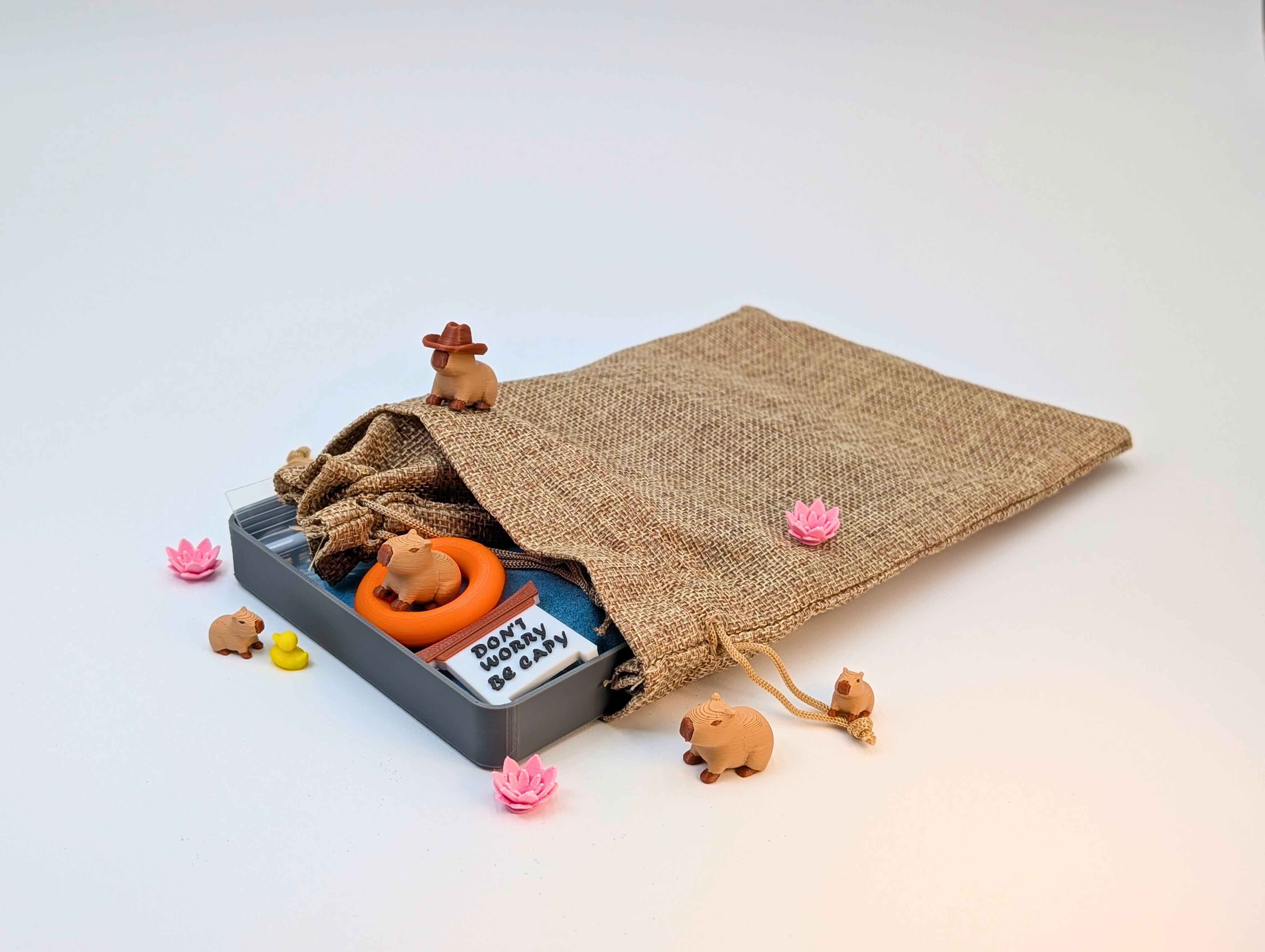 Capybara Zen Garden