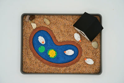 Duck Zen Garden