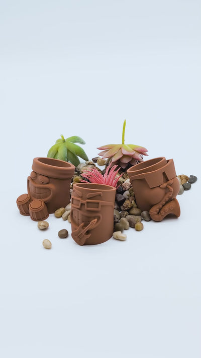 Funny Succulent Pots